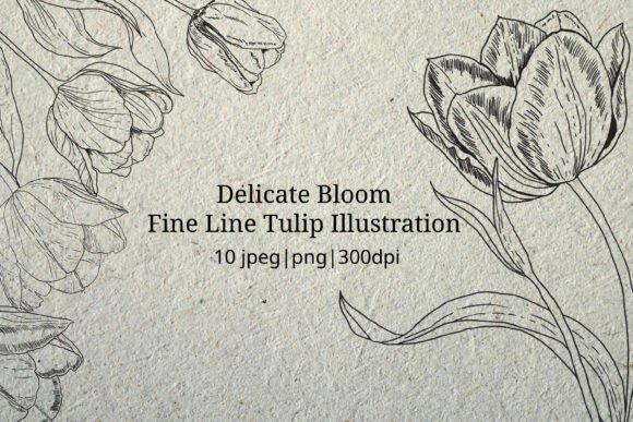 Download Delicate Bloom - Fine Line Illustration - Premium Resources